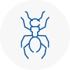 Ant Removals In Mangotsfield