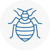 Bed Bug Extermination In Mangotsfield