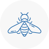 Bee Nest Removal Mangotsfield