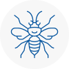 Mangotsfield Hornet Nest Removals