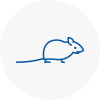 Mice Exterminators In Mangotsfield