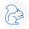 Mangotsfield Rodent Removals