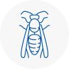 Mangotsfield Wasp Nest Removal